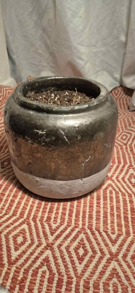 Photo of free Plant pot (little italy) #1