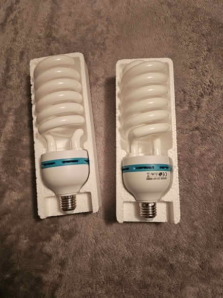 Photo of free Photography bulbs (Upper Craigie PH2) #1