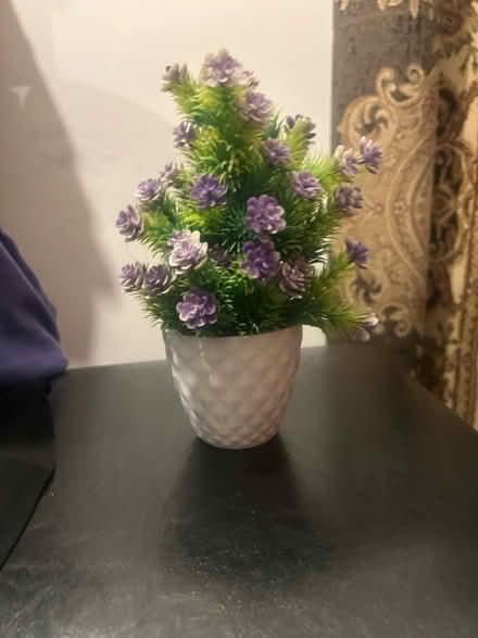 Photo of free Decor (wembley HA9) #1