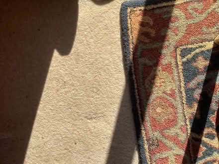 Photo of free Beige/cream carpeting (sidlesham) #3