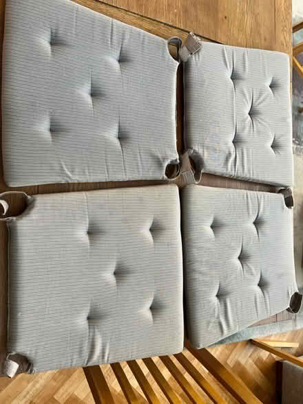 Photo of free Ikea Justina chair cushion pads x 4 (Barnes SW13) #1