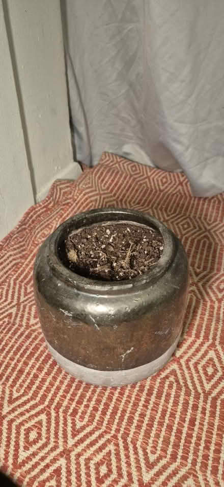 Photo of free Plant pot (little italy) #2