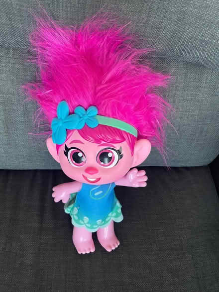 Photo of free Troll (Thringstone LE67) #1