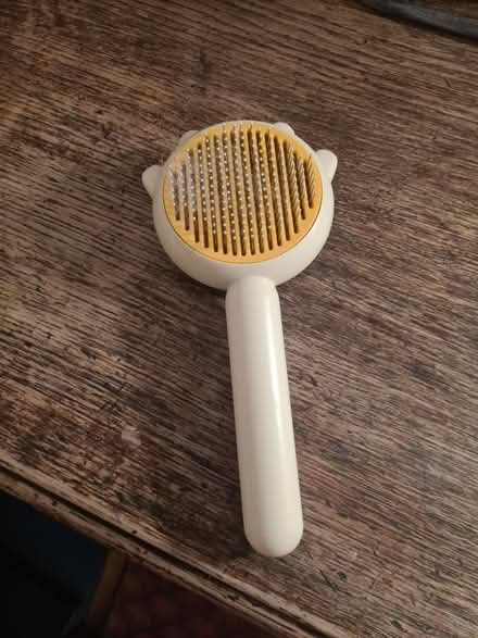Photo of free Cat brush (Loanhead, EH20) #1