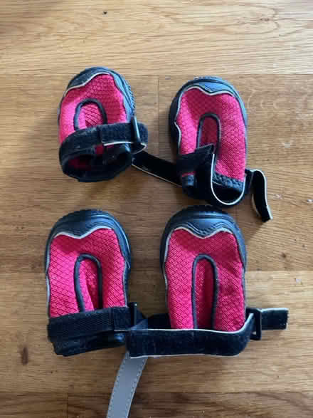 Photo of free Dog neoprene booties (Tolworth) #1