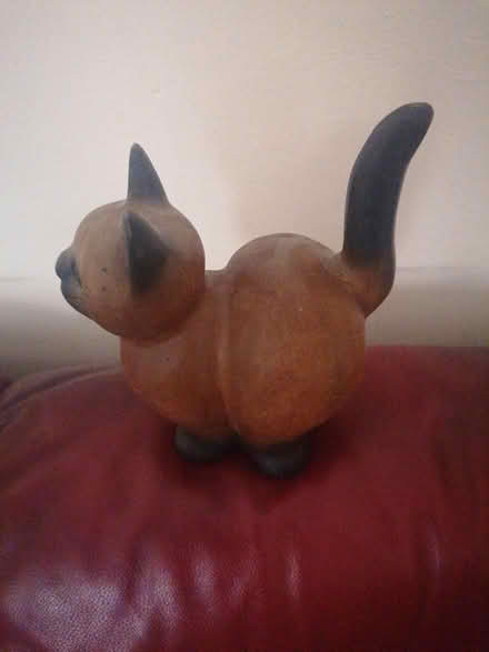 Photo of free Cat (Parkstone BH14) #1