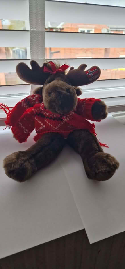 Photo of free Soft Toys (Lower Place OL16) #2