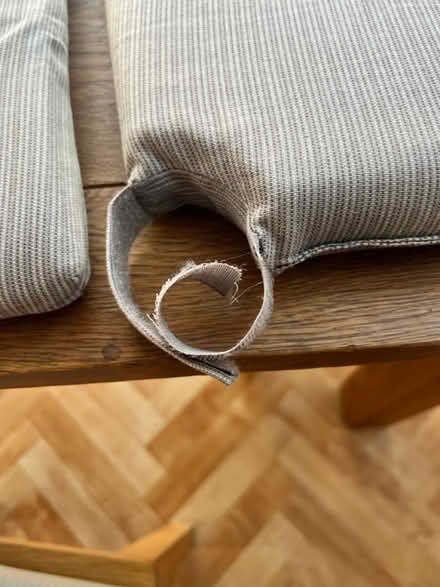 Photo of free Ikea Justina chair cushion pads x 4 (Barnes SW13) #2