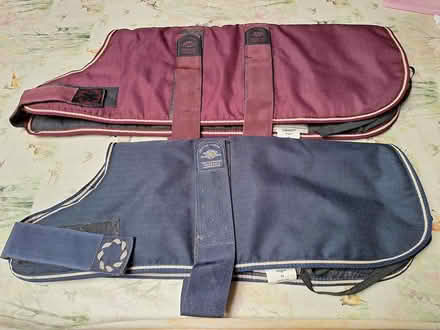 Photo of free Waterproof Dog Coats (Thackthwaite) #1