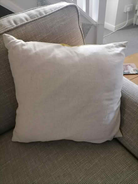 Photo of free Bee cushion (Bradford on Avon BA15) #2
