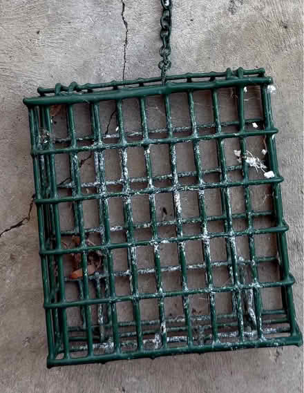 Photo of free Suet feeder (Essex) #1