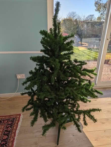 Photo of free Christmas tree (NR28) #1