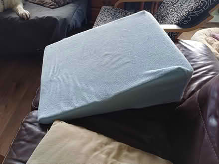 Photo of free Bed Wedge Pillow (B28 - Hall Green) #1