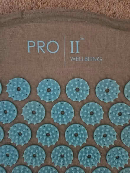 Photo of free Acupressure mat (Redditch B97) #2