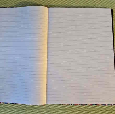 Photo of free A4 Hard Back Note Book (Beulah Hill SE19) #2