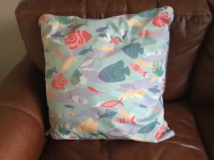Photo of free Cushion (Berkhamsted HP4) #1