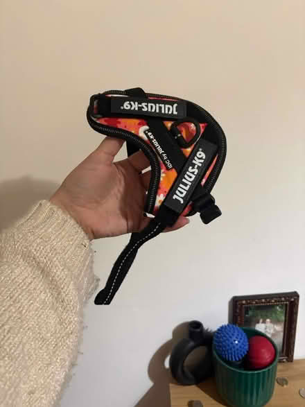 Photo of free New julius k9 dog harness 3xs (L13) #4