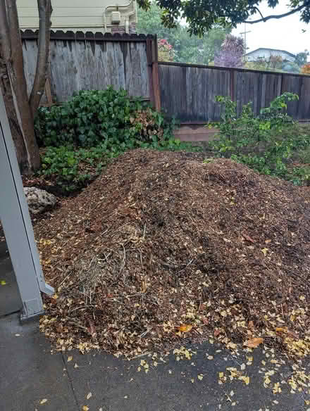 Photo of free Mulch (E San Rafael) #2