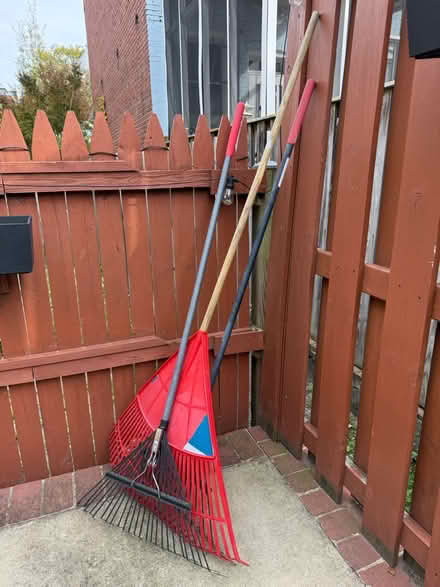 Photo of free Rakes (Bloomingdale) #1