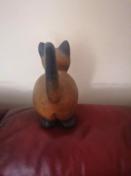 Photo of free Cat (Parkstone BH14) #2