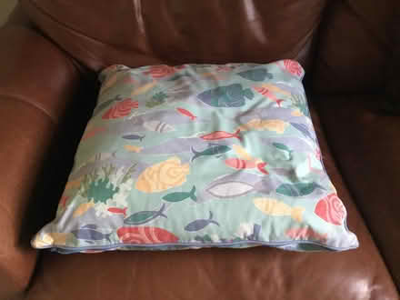 Photo of free Cushion (Berkhamsted HP4) #3