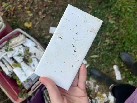 Photo of free Subway Tiles (North Woodside) #3