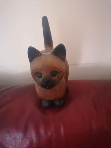 Photo of free Cat (Parkstone BH14) #3