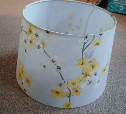 Photo of free Lamp shade (OX28) #3