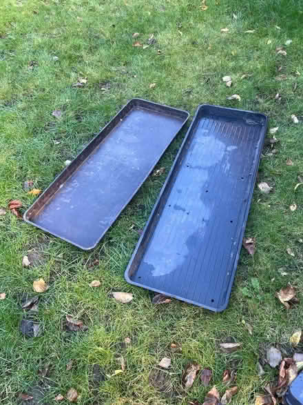 Photo of free Greenhouse plant pot tray (Wonersh GU5) #1