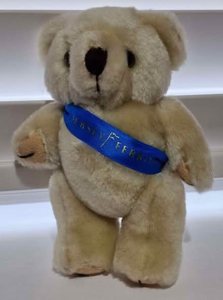 Photo of free Soft Toys (Lower Place OL16) #1