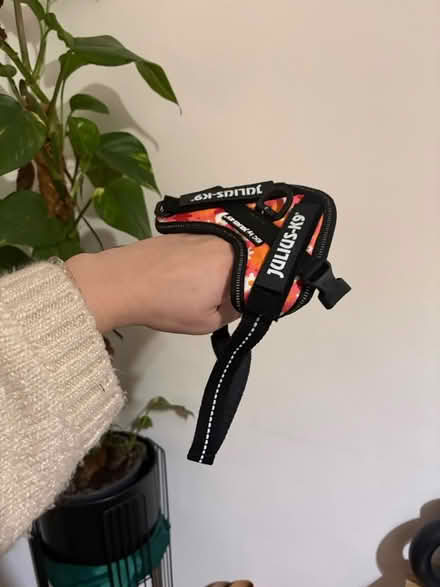 Photo of free New julius k9 dog harness 3xs (L13) #3