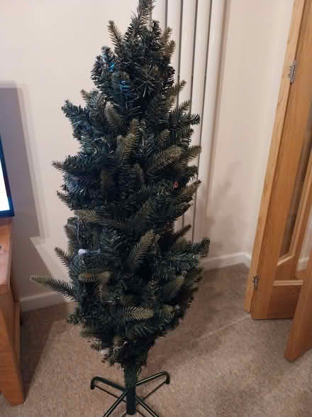 Photo of free christmas tree (Surrenden BN1) #1
