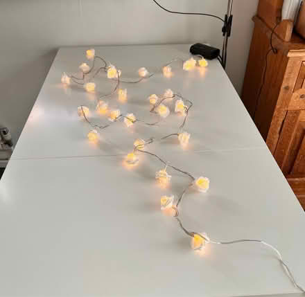 Photo of free Indoor lights (Brentwood CM14) #1