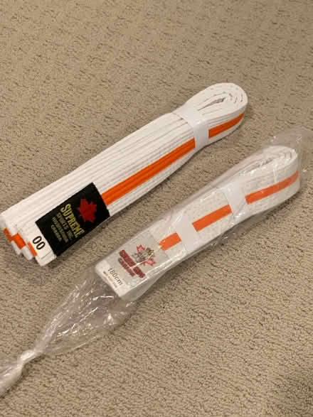 Photo of free Karate Kid belts (Winston Churchill & Hwy 403) #1