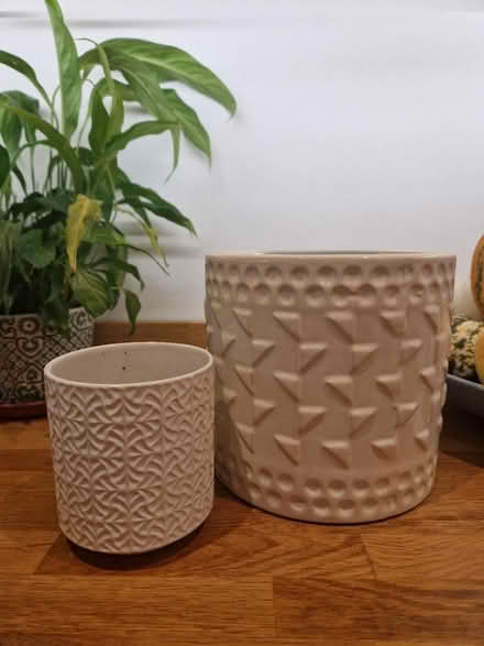 Photo of free White plant pots (BN2) #1