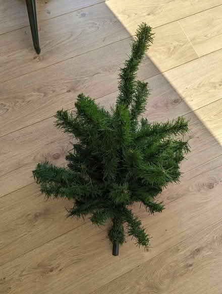 Photo of free Christmas tree (NR28) #4