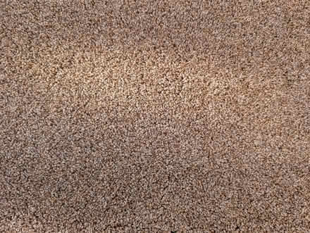 Photo of free Carpet remnant (NR28) #2