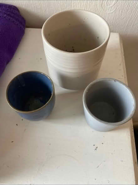 Photo of free Small plant pots x 3 (Cheshunt En8) #2