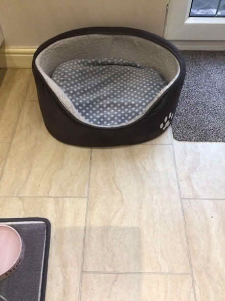 Photo of free Dog bed (Billericay) #1