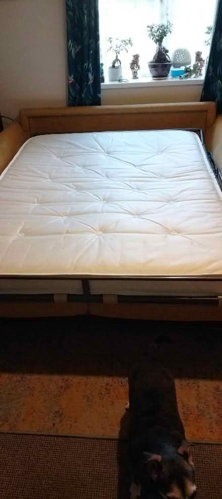 Photo of free Sofa bed mattress (St Leonards TN38) #1