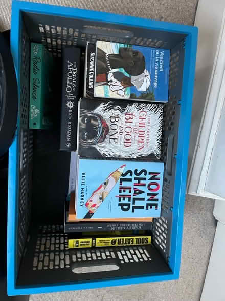 Photo of free 20 ish fantasy books (Ealing Common W5) #3