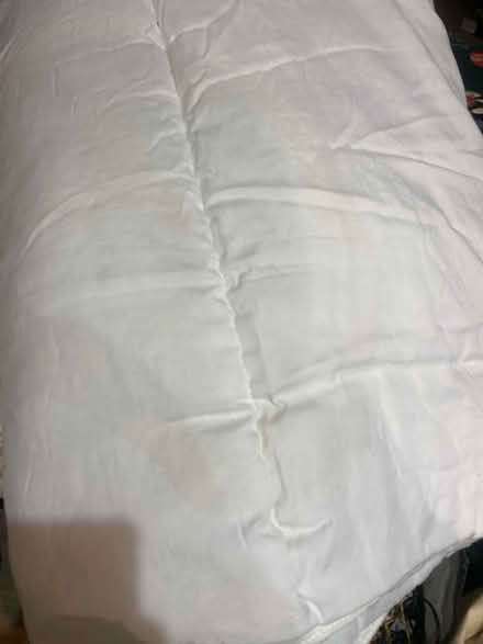 Photo of free double & single duvet, duvet cover (Wallisdown) #2