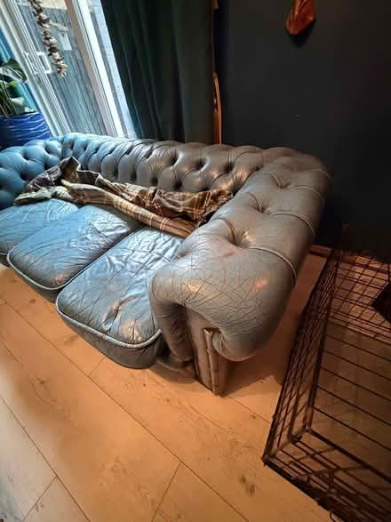 Photo of free Chesterfield sofa (Redditch B98) #3