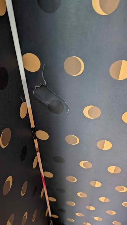 Photo of free Moon Cycle Folding Screen (Salford, M3) #2