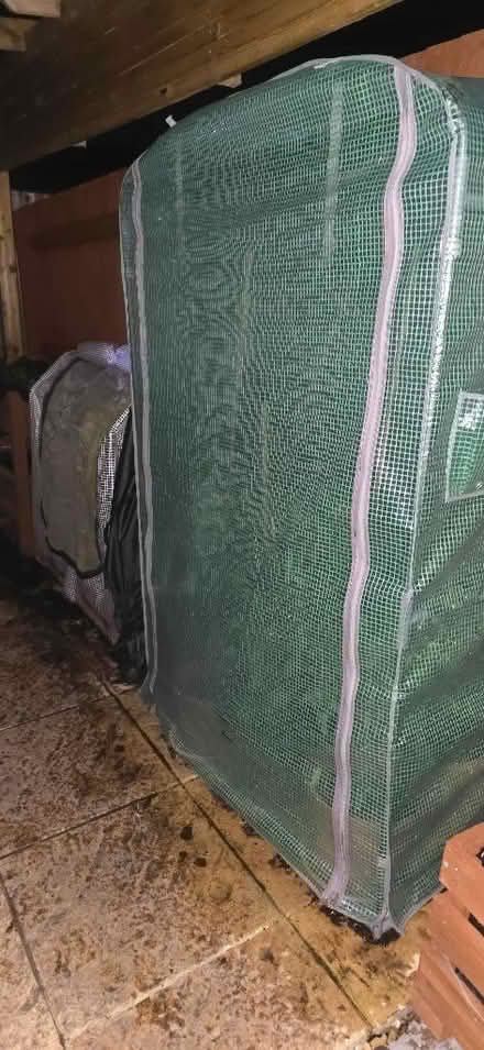 Photo of Growhouse (Bishops Tachbrook CV34) #3