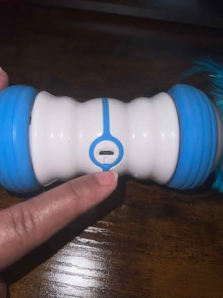 Photo of free Feathered rolling cat toy (Water Eaton MK2) #2