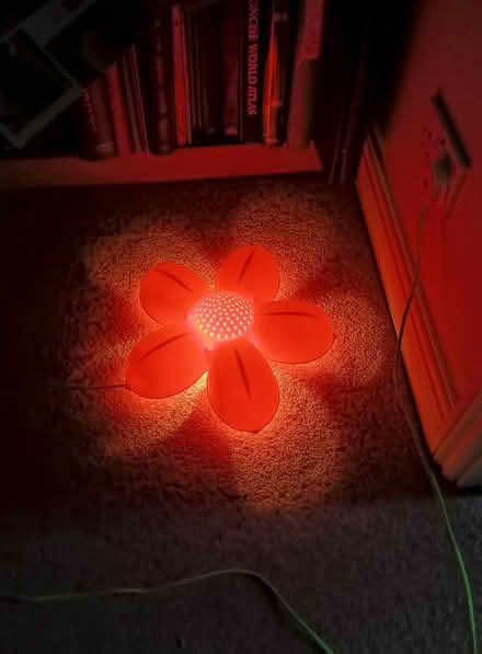 Photo of free Flower wall light (Stoughton GU2) #2