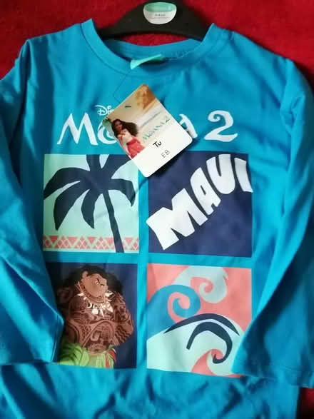 Photo of free Moana 2 t shirt age 3 - 4 (Worcester) #1