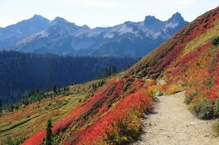 Photo of free Mountain View Print (Éboulements, Canada) #1