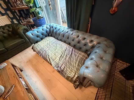 Photo of free Chesterfield sofa (Redditch B98) #2